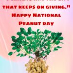National Peanut day