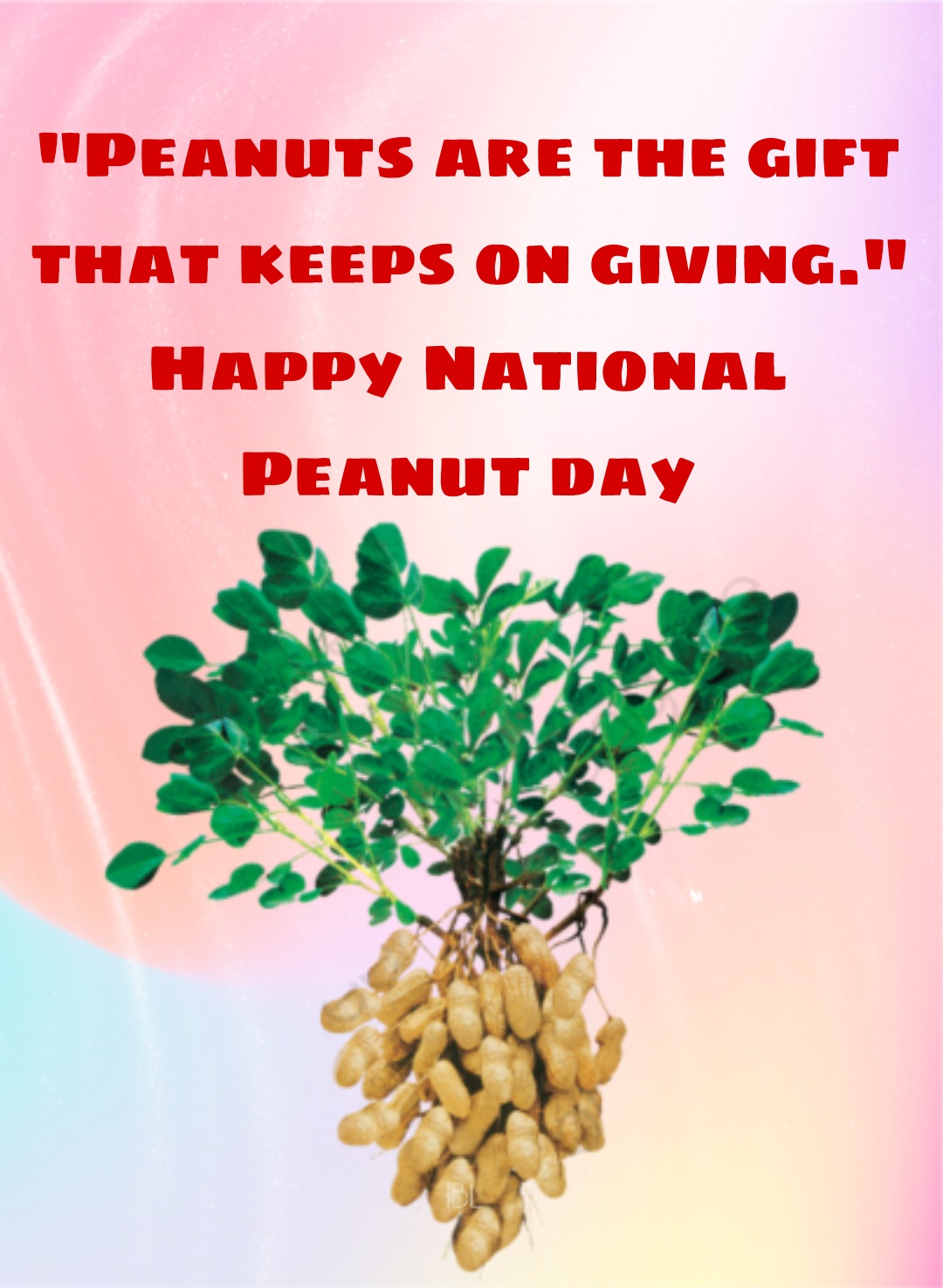National Peanut Day Quotes, Greetings, Messages, Images