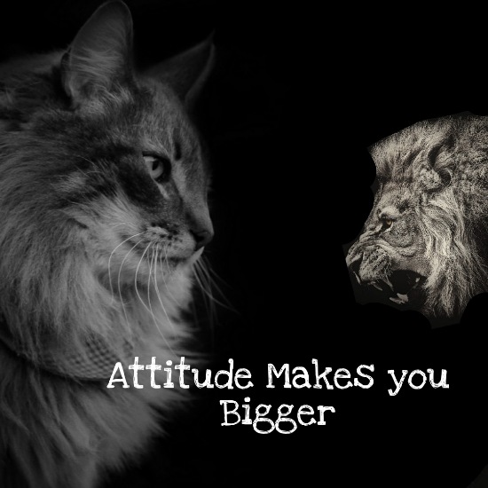 599+ Attitude powerful lion quotes | attitude like a lion