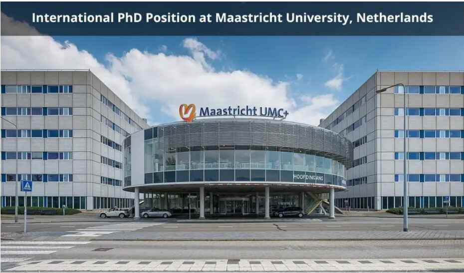 Maastricht University Scholarship 2024 : Shaping Futures, Empowering Minds